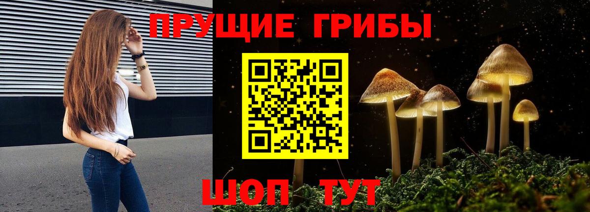 Псилоцибиновые грибы Psilocybine cubensis Кыштым
