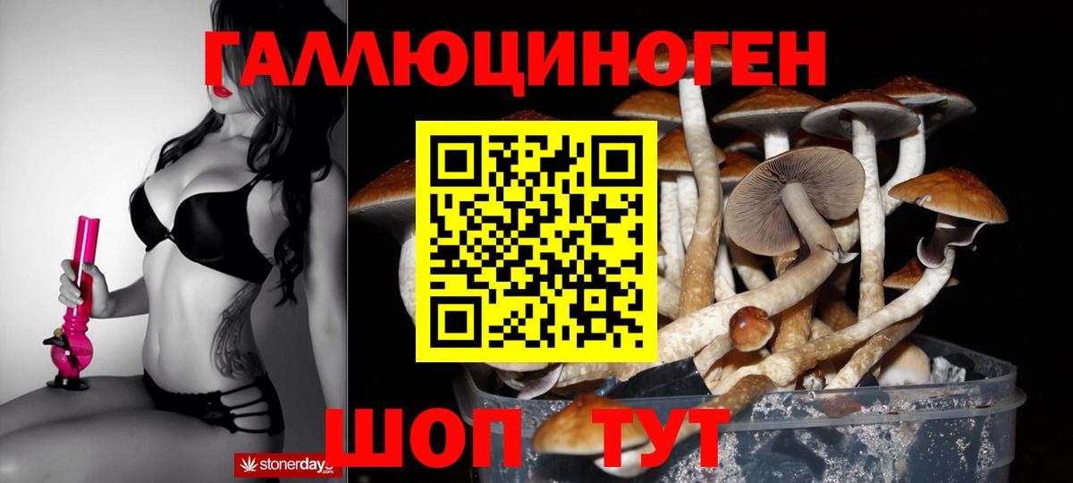 Псилоцибиновые грибы мухоморы  Вход с VPN  Кыштым  Галлюциногенные грибы Psilocybe 